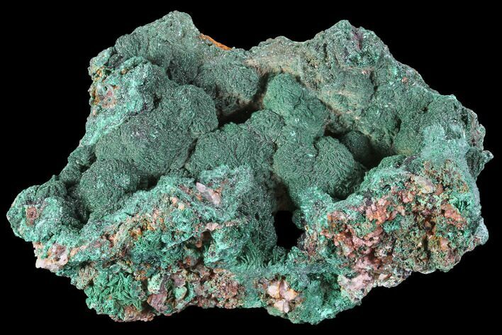 Malachite Crystals on Matrix - Morocco #90719